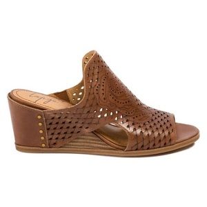 Latigo Wedges